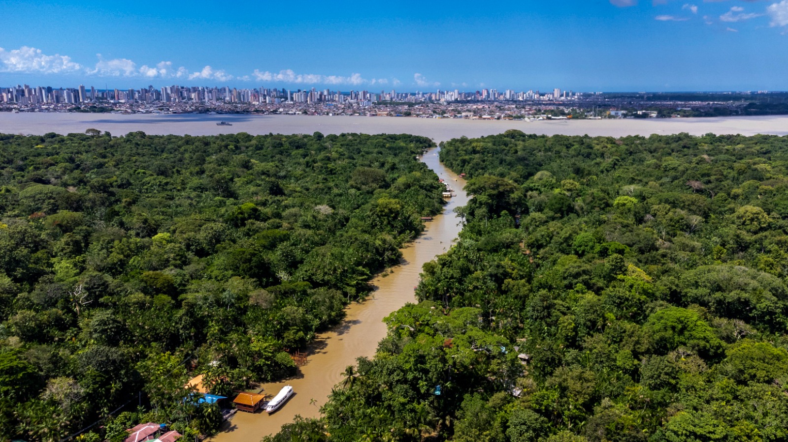 Paisagem amazônica com floresta, rio e horizonte urbano ao pôr do sol